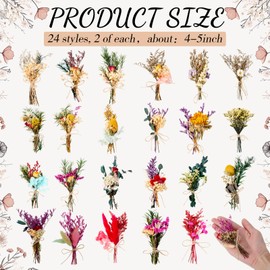 Tinideya 48 Pcs Dried Flowers Bouquet Boho Mini Dried Flower with Stem Small Dried Floral Plants Mixed Natural Flowers Bundles for Crafts Vase DIY Photo Props Wedding Decoration