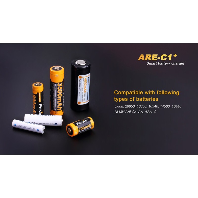 EdisonBright Fenix are-C1+ Plus Smart Digital Display Home/in-car Battery Charger