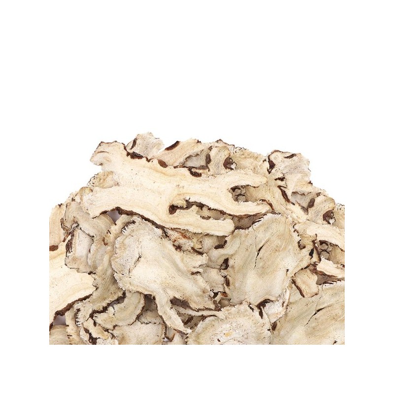 Donguihanjae 동의한재 특품 국산 당귀신 당귀몸통 공진단재료 300g Donguihanjae Special