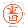 Shachihata Stamp Name 6 Correction Stamp XL - 6 Stamp