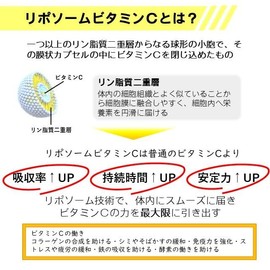 リポソームビタミンＣブースト 90粒 リポソームビタミンＣだけに特化 1000mg配合 30日分 国内製造