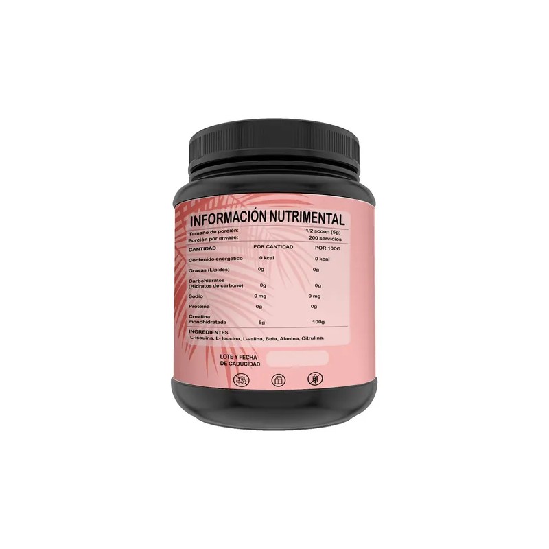 Creatina Monohidratada 1kg Flamish 200 Servicios Sabores