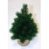 Mini Christmas Tree 33 cm Very Real Looking