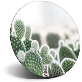 Destination Vinyl ltd Magnet for Refrigerator, Fridge - Cute Cacti Plant Cactus Plants for Office, Cabinet and Whiteboard, Magnetic Stickers, 16970