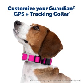 PetSafe Replacement Strap for Guardian GPS + Tracking 1.0 and Guardian GPS Dog Fence Collar, Made with Soft Touch Nylon for Enhanced Comfort,Long Lasting Wear Water Wicking, Waterproof Material, Pink