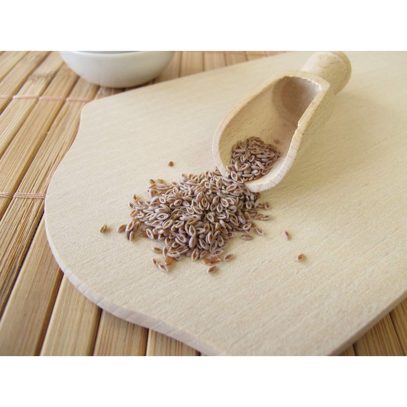 Health Embassy Plantago Ovata seeds (Plantaginis ovatae semen), 100g