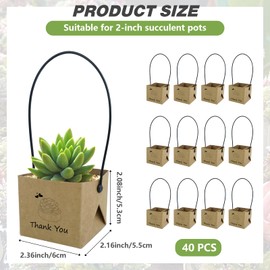 40Pcs Succulent Wrap Bags,Succulent Gift Box('Thank You' Plant Box Labels),Fits 2 Inch Decorative Kraft Flower Plates,Baby Shower Favors Gifts,Suitable for Wedding Party,Birthday Party,Thanksgiving
