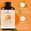 Handcraft Blends Orange Essential Oil – Huge 4 Fl Oz