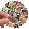 50 PCS Meme Stickers,Funny Stickers,Teens Boys and Girls Sticker Pack