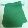 Plain Green Bunting 20 flags 18'' x 12''