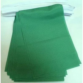 Plain Green Bunting 20 flags 18'' x 12''