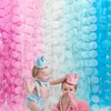 205 Ft Gender Reveal Party Decorations Ombre Pink and Blue