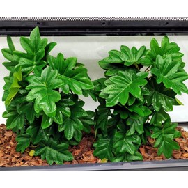Reptile Plants for Terrarium, Amphibian Habitat Decor Artificial Hanging Plants with Suction Cup, Artificial Plants for Gecko Chameleon Snake Tortoise Tank Accessories. 2-Pack(Philodendron selloum)