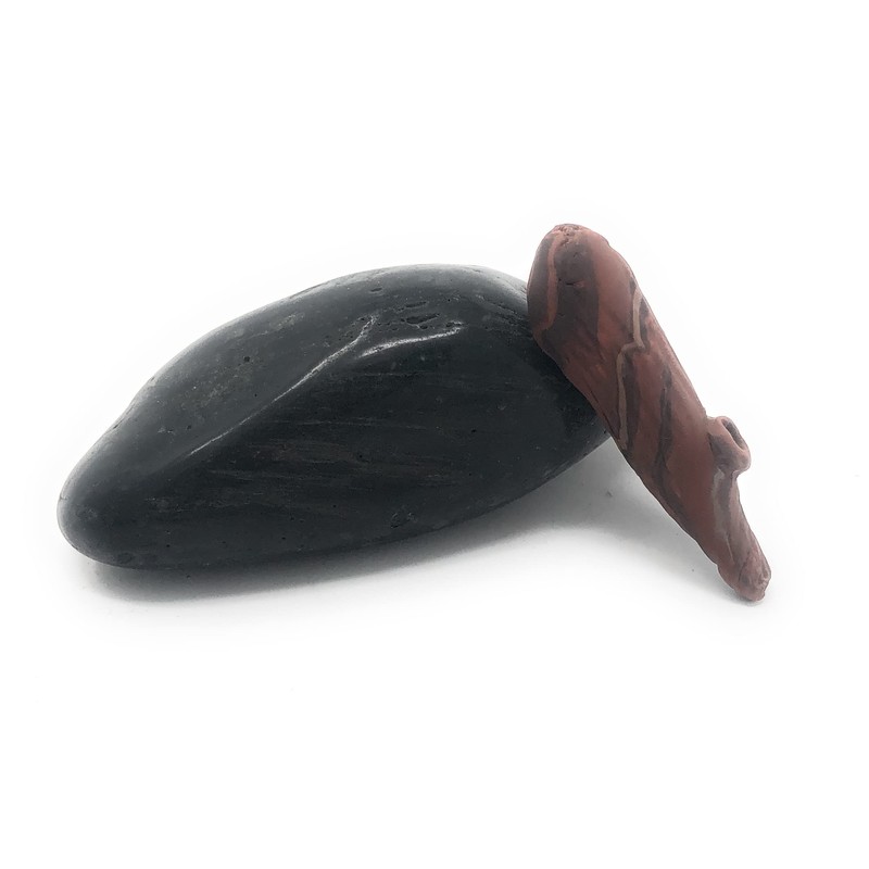 Cave Rock Pet Prehistoric Gag Gift with Adoption Certificate