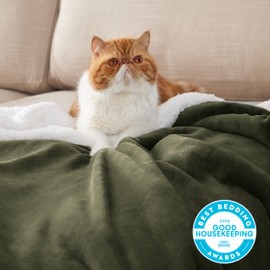 Bedsure Sherpa Fleece Throw Blanket Twin Size for Couch - Thick and Warm, Soft Fuzzy Plush Twin Blanket for Winter, Olive Green, 60x80 Inches