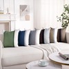 Set of 2 Decorative Cotton and Linen Throw Pillow Covers