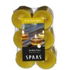 Spaas 12 Maxi Scented Tealights in Transparent Clear Cup, ±