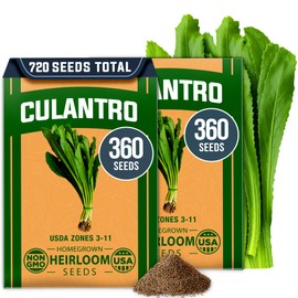 HOME GROWN Culantro Seeds - 720+ 𝗡𝗢𝗡-𝗚𝗠𝗢, 𝗨𝗦𝗔-𝗦𝗢𝗨𝗥𝗖𝗘𝗗 Heirloom Herb Seeds for Planting, Slow-Bolting, Flavorful Cilantro Alternative, Great for Outdoor Herb Gardens (Eryngium foetidum)