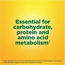 Nature Made Vitamin B-6 100 Mg, Tablets, 100-Count (Pack of 2)