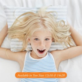 Toddler Pillowcase Cover with Zipper Closure 100% Soft Egyptian Cotton Small Pillow Cover 2-Pices, 500 Thread Count Travel Pillow Cases 12x16 inch, Taupe