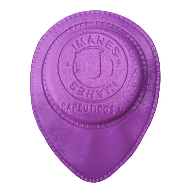 MAG BIOMAGNETISMO Kit De Imanes Para Chakras Par Biomagnetico O