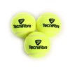 Tecnifibre Champion 3er Dose Tennisball, gelb, nosize