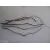 Dried Corkscrew Willow Branch Ends, 10"-14" length, for Crafts and