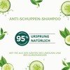 Naturé Moi - Anti Dandruff Shampoo - Normal Hair -