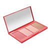 GOC MAKEUP | Addictive Blush Palette | Rubor Bronceador e