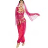Women's Belly Dance Costume Set Indian Dance Performances Outfit, pink