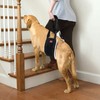 LOOBANI Portable Dog Sling for Back Legs, Hip Support Harness