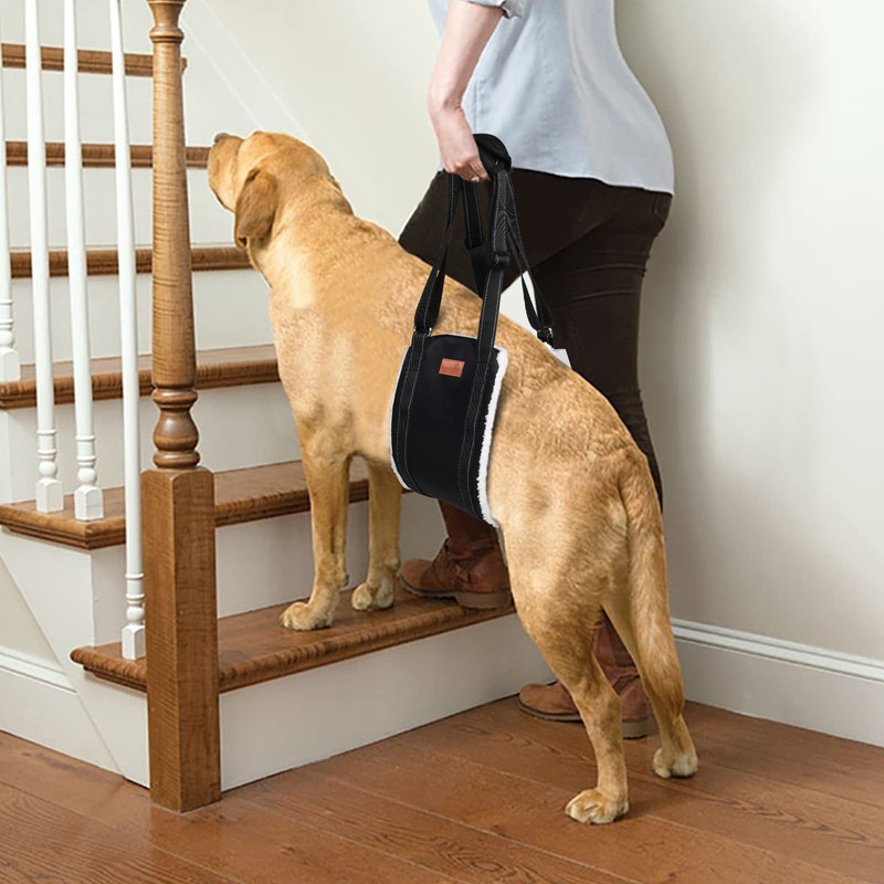 LOOBANI Portable Dog Sling for Back Legs, Hip Support Harness