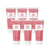 Gongskin Trouble Spot All-in-One Lotion 100ml x 6 _B / 공스킨 트러블 스팟 올인원 로션 100ml 6개 B