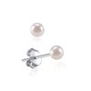 ChicSilver Women's Pair of Stud Earrings Freshwater Cultured Pearls White