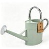 1 Gallon Watering Can for Outdoor&Indoor Plants，Cream Green