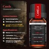 BIENAT AROMATERAPIA Aceite Esencial de Canela 10mL
