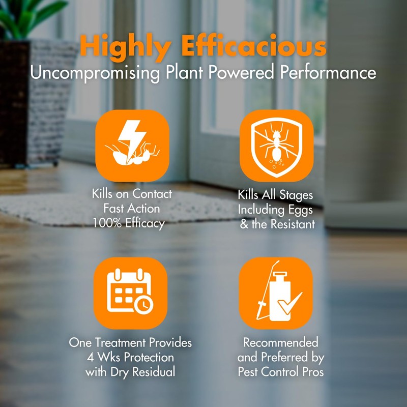 EcoRaider Ant & Crawling Insect Killer (34 OZ), 100% Fast