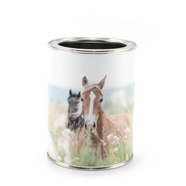 Pencil Cup Horses Including 12 Triangular Colouring Pencils, Children's Pen Holder, Pen Holder, Desk Organiser, Girls, Boys