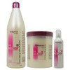 SALERM HI REPAIR LARGE TREATMENT KIT (Shampoo 36 oz, Mask