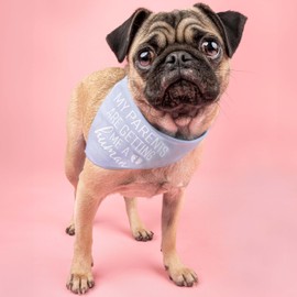My Parents are Getting Me A Human Baby Announcement Dog Bandana (Baby Pink, OS 109)