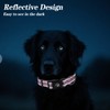Jynco Reflective Dog Collar for Medium Dogs, Pink & Red