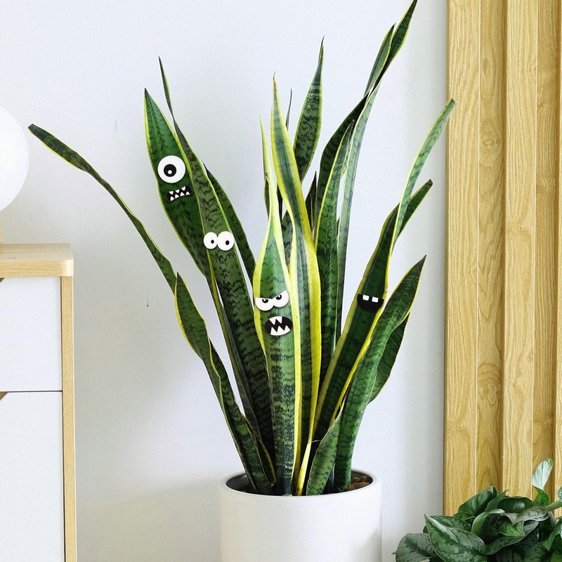 BOXOB Whimsical 12pcs Green PVC Plant Decorative Magnets