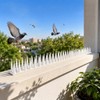 Bird Repellent Spikes for Outdoor Use - Bendable PP Deterrent