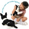 Baxter The Boston Terrier - 12 Inch Stuffed Animal Plush