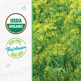 Back to the Roots - 100% Organic Seed Packet - Dill 'Mammoth' 1g