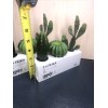 IKEA 2 Sets Ikea Fejka Miniature Artificial Cactus Plants x