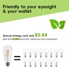 Jensense Edison LED Light Bulbs E26 Bulb 60 watt Equivalent