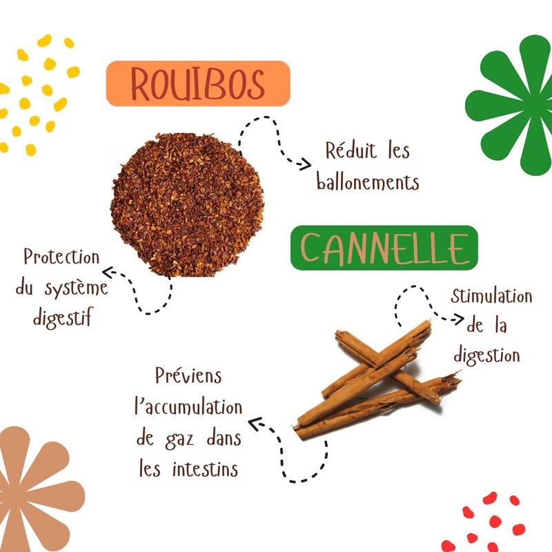 Digestion Tea: Relieve Bloating and Constipation for a Flat Stomach