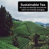 Specialty Tea Selection, 3 Classic Teas, Camellios (3 Pack, 15
