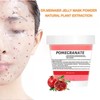 Face Mask Powder (Red Pomegranate)